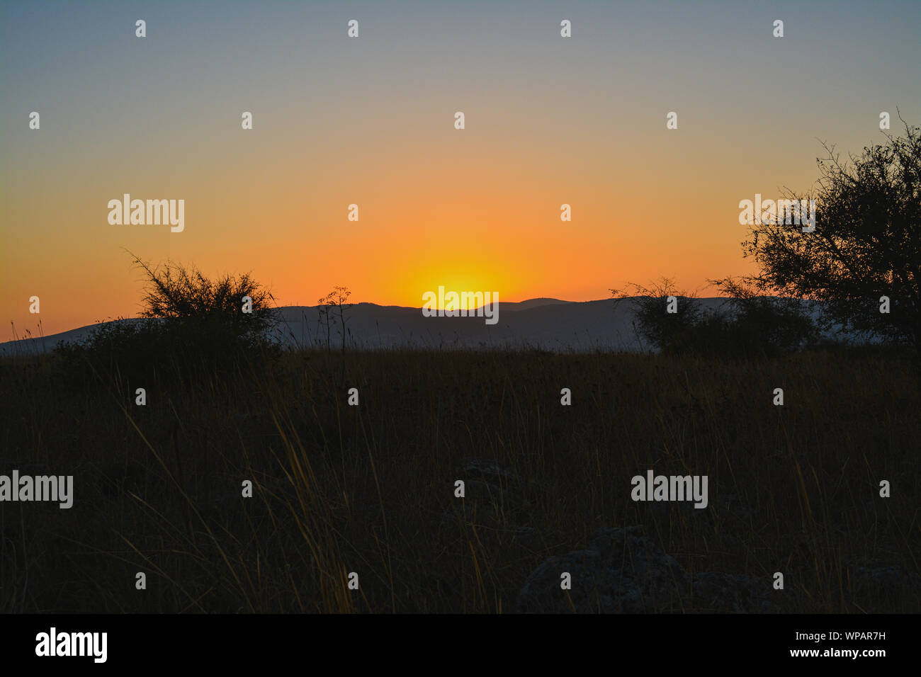 Coucher du soleil dans la savane Banque D'Images