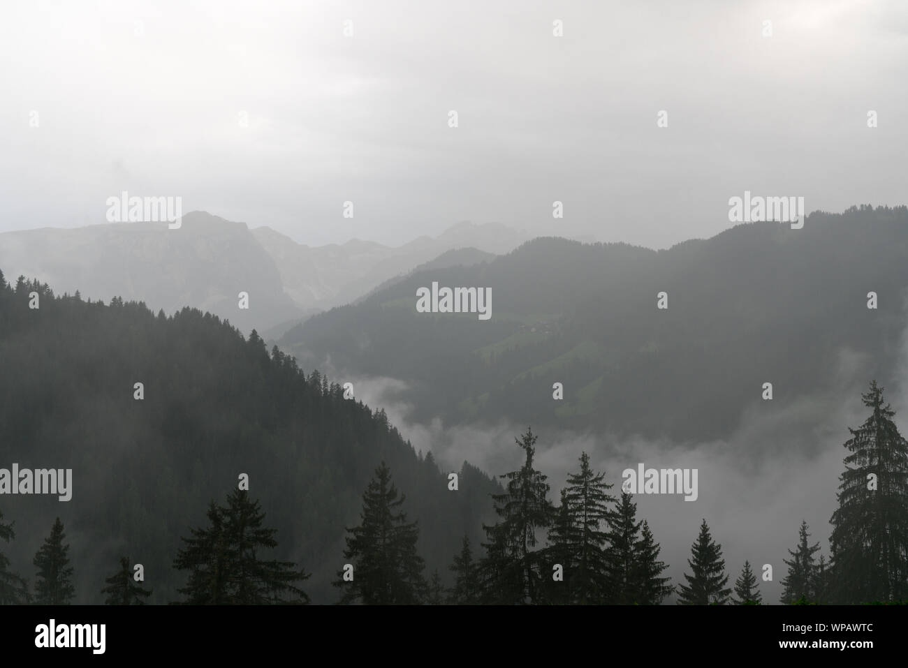 Vert et gris panorama paysage de montagne avec des forêts et un brouillard épais dans les vallées et un ciel couvert Banque D'Images