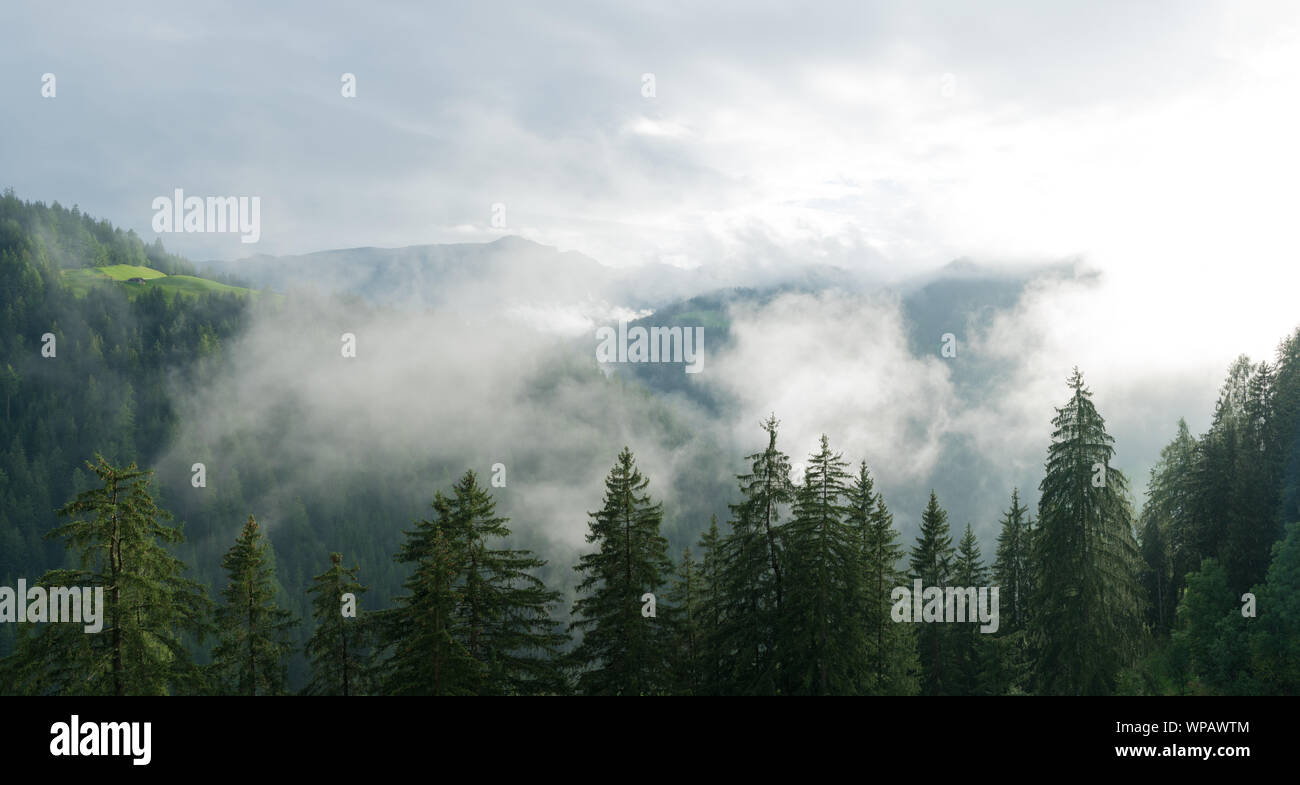 Soleil qui brille à travers le brouillard et les nuages après la pluie dans un paysage de montagne et forêt panorama Banque D'Images