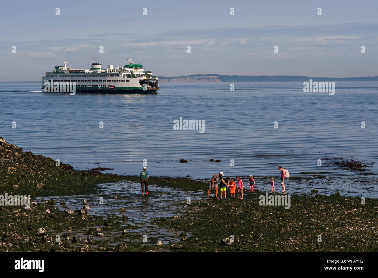 Ferry Boat sur le Puget Sound avec personnes examinant le sea life à marée basse Banque D'Images