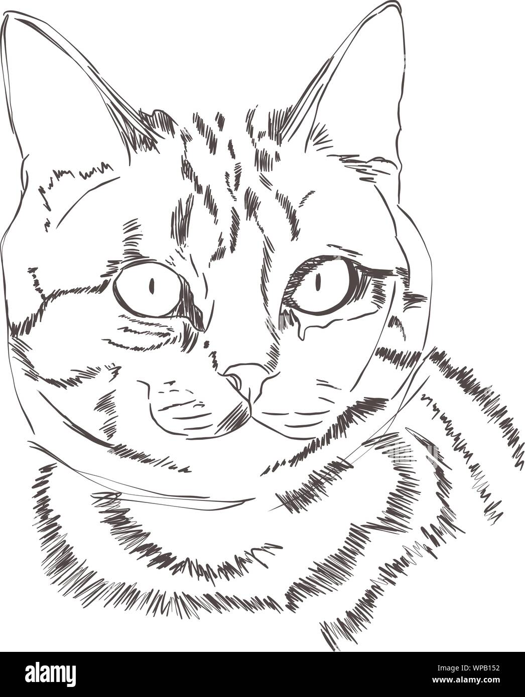Illustration De Kitty Sur Fond Blanc Pour L Element De Votre Conception Impression Autocollant Chat Blanc En Simple Croquis Style Lineart Image Vectorielle Stock Alamy Illustration De Kitty Sur Fond Blanc Pour L Element De Votre Conception Impression Autocollant Chat Blanc En Simple Croquis Style Lineart Image Vectorielle Stock Alamy