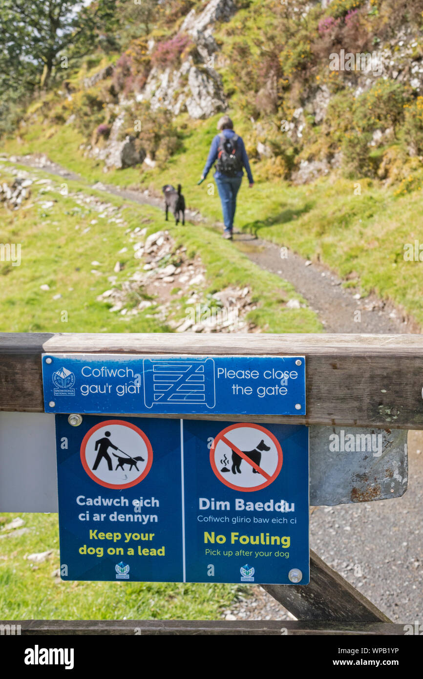 Poser les panneaux sentier les promeneurs à garder leurs chiens en laisse dans la campagne. Grande-bretagne, Royaume-Uni Banque D'Images