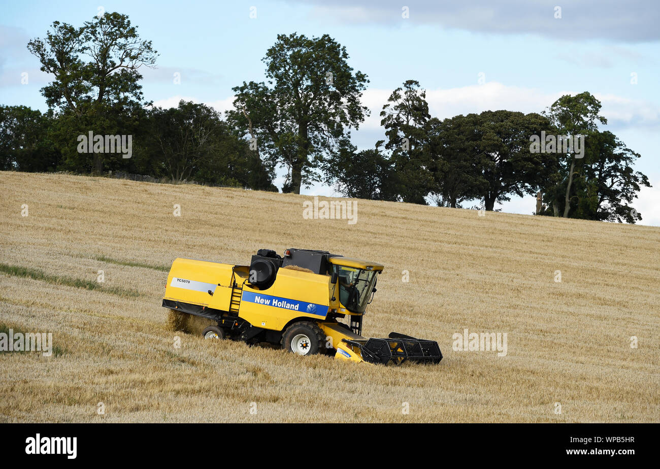 Une moissonneuse-batteuse New Holland travaillant dans un champ près de Smailholm, Scottish Borders, Scotland. Banque D'Images