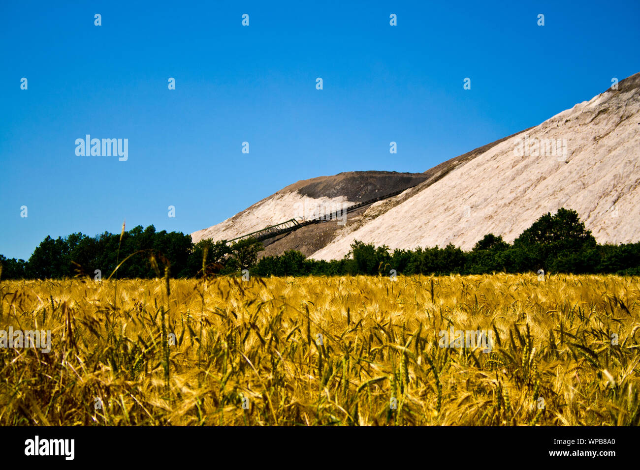 Une montagne artificielle où le potassium est extrait derrière un champ de maïs jaune en Hesse, Allemagne Banque D'Images