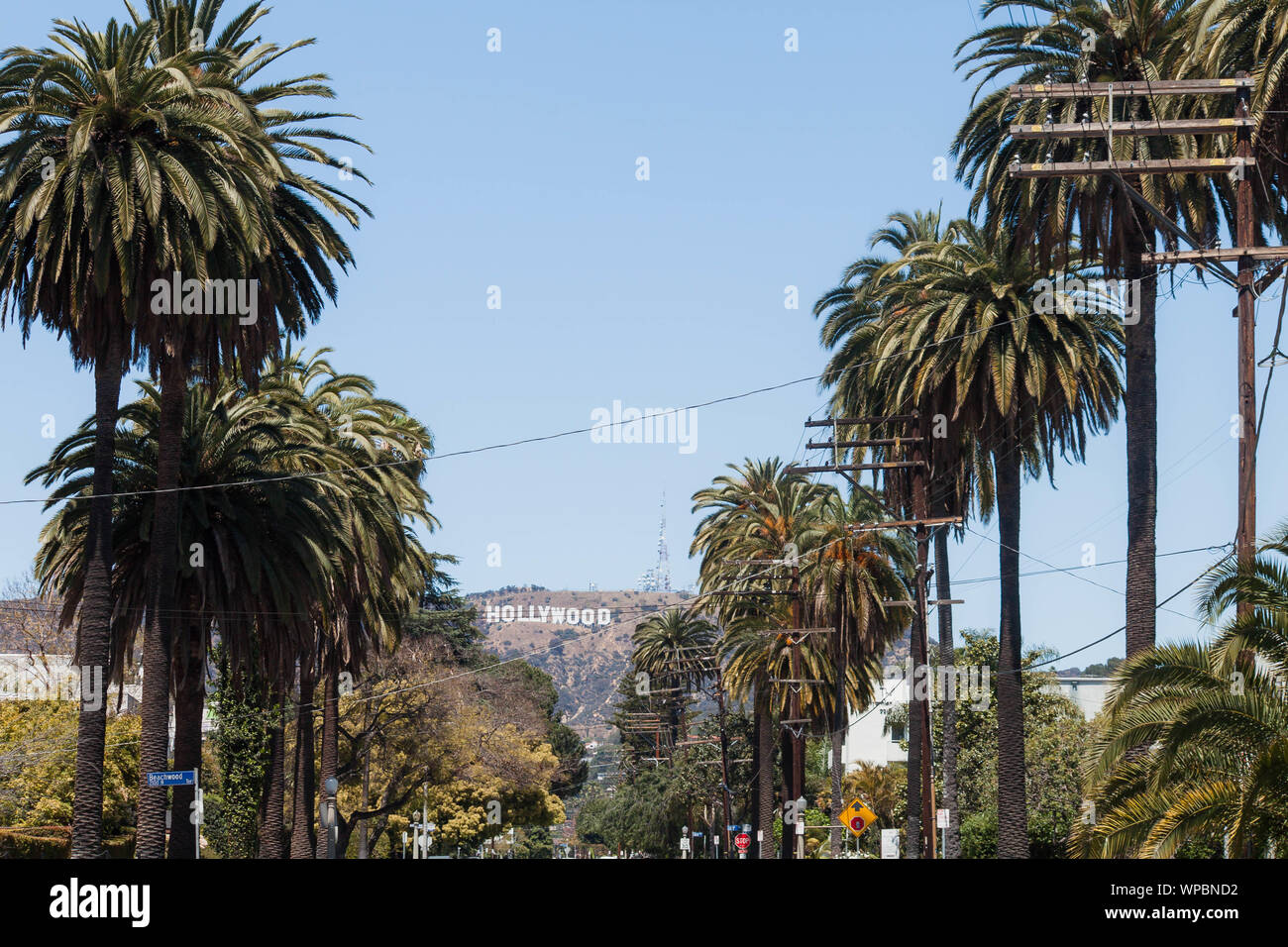 Ligne d'arbres menant à la panneau Hollywood de Los Angeles Banque D'Images