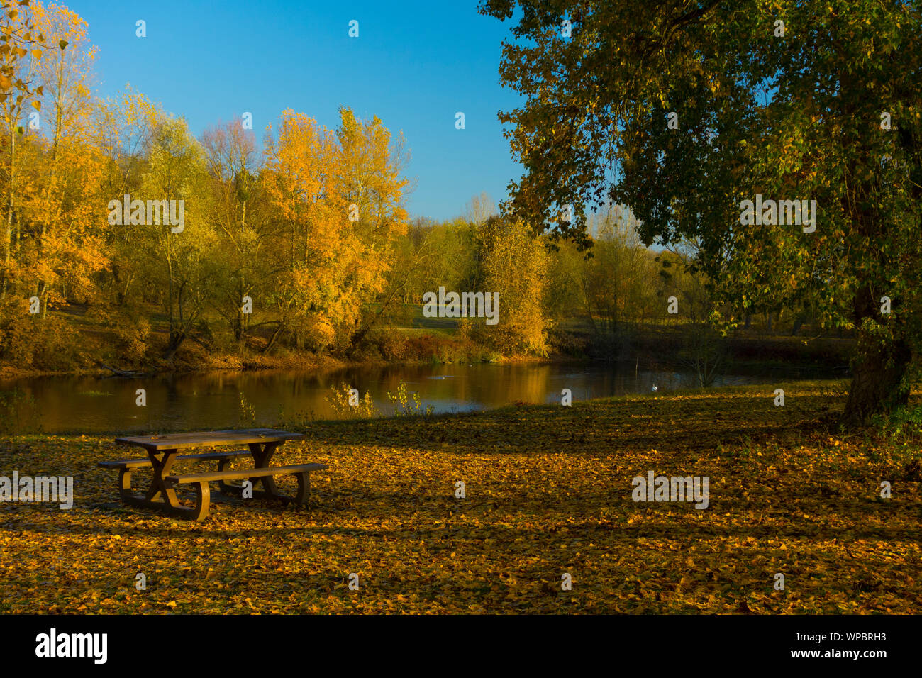 France, Loiret (45), Saint AY, étang sur les bords de la Loire à partir de l'ancienne gravière Banque D'Images