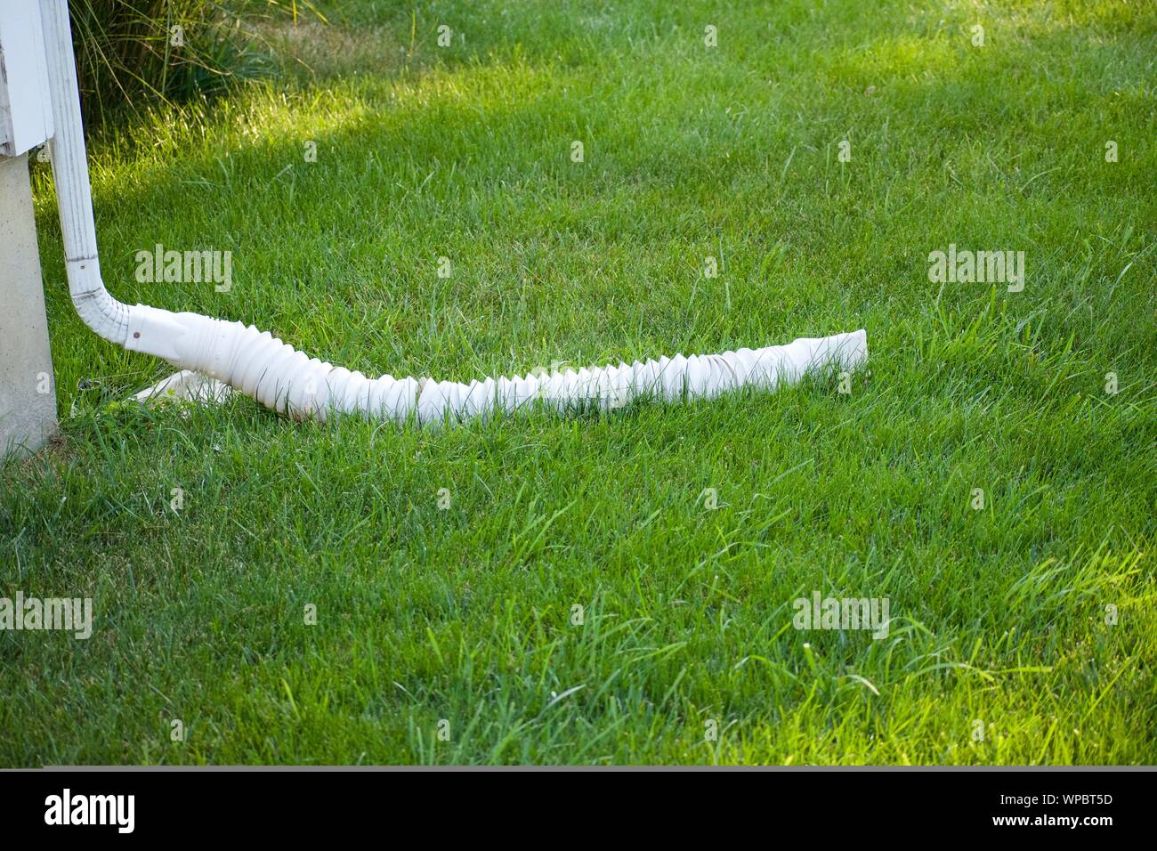 La goulotte de vidange vers le bas de la chambre de l'eau dans un jardin d'herbe à l'écart de la chambre. L'eau de pluie vers le bas de la goulotte de vidange, caniveau Banque D'Images