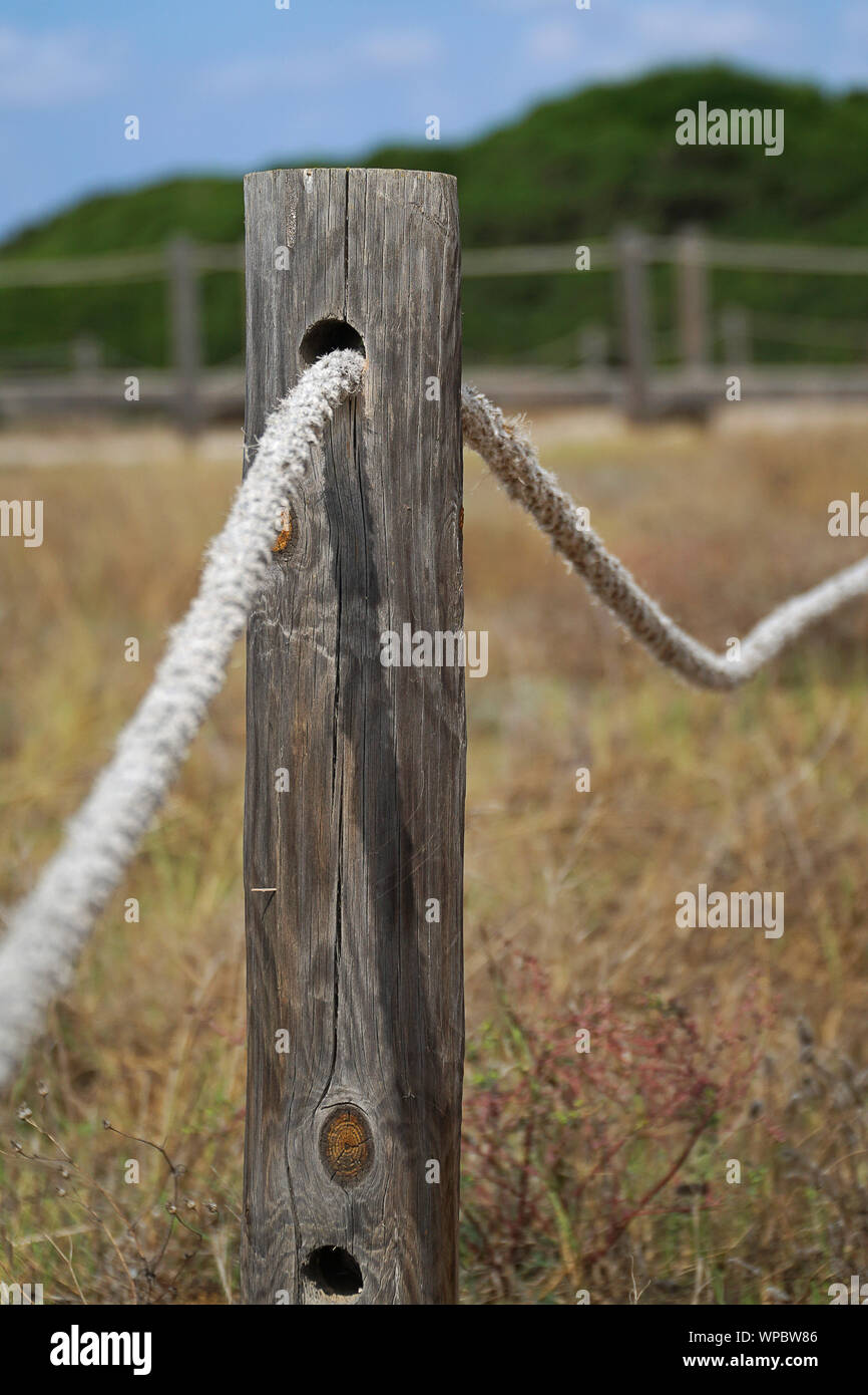 Un gros plan d'un conseil de marche en bois et corde Banque D'Images