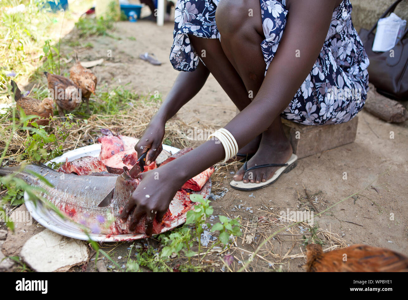 Une femme poisson coupe à l'extérieur sur le terrain au Soudan du Sud. Banque D'Images