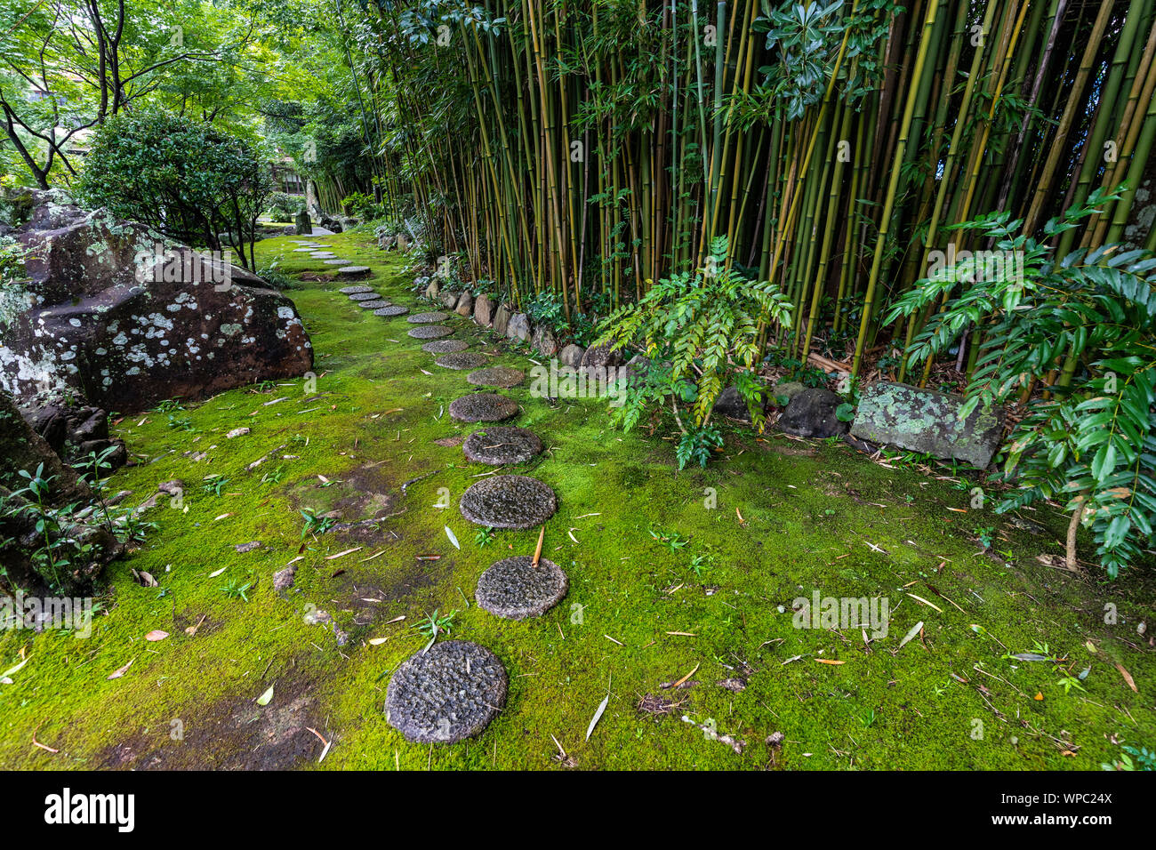 Jardin de bambous à Tenshaen Tenshaen - Jardin a été construit pour la retraite de Munetada Date, la septième seigneur féodal de Uwajma. Il a été nommé d'après un poe Banque D'Images