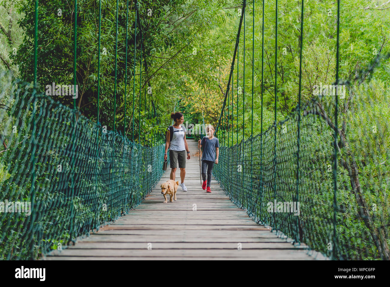 Mère et fille marcher sur le pont suspendu en bois avec petit chien jaune dans la forêt Banque D'Images Mère et fille marcher sur le pont suspendu en bois avec petit chien jaune dans la forêt Banque D'Images
