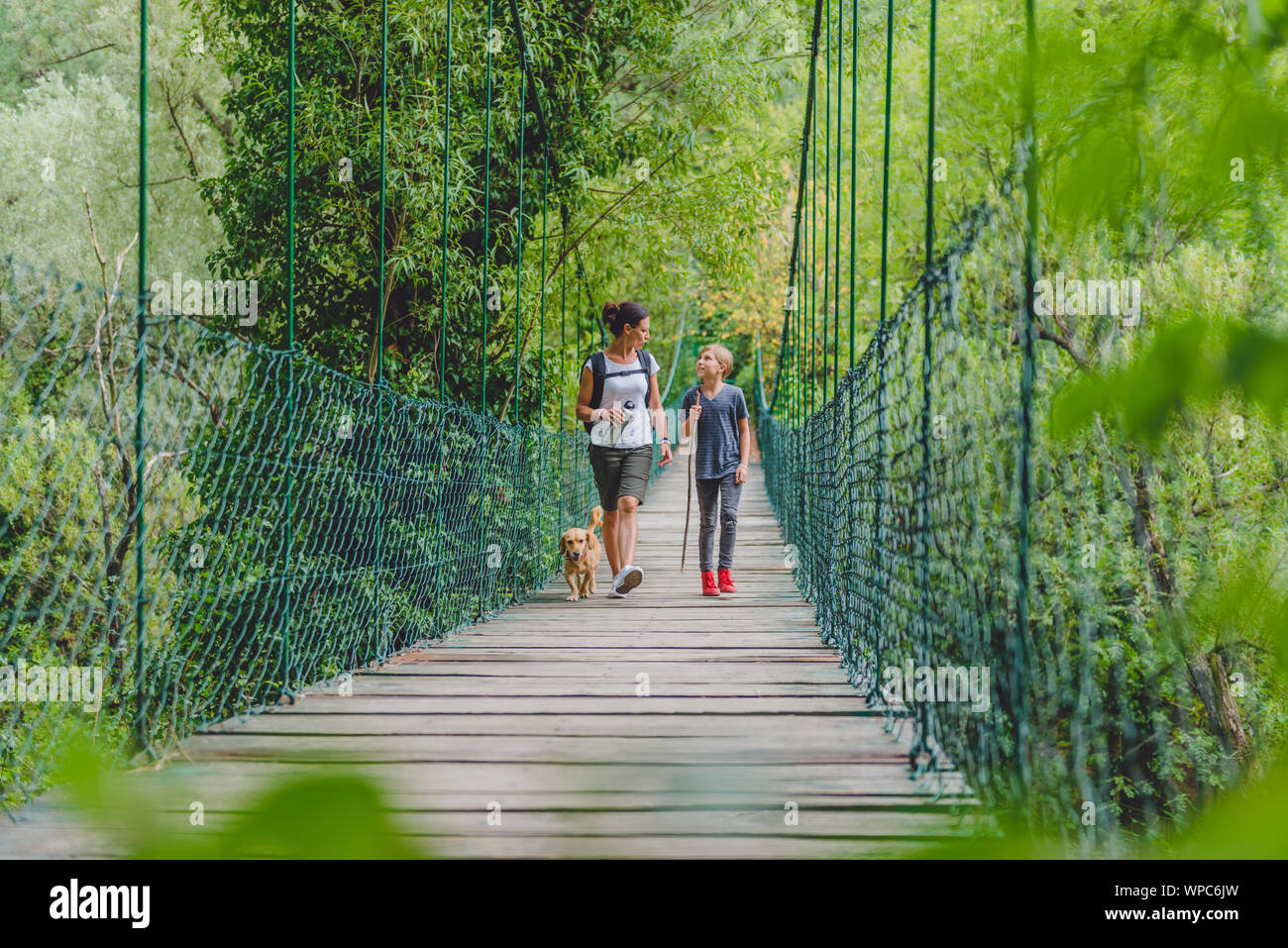 Mère et fille marcher sur le pont suspendu en bois avec petit chien jaune dans la forêt Banque D'Images Mère et fille marcher sur le pont suspendu en bois avec petit chien jaune dans la forêt Banque D'Images