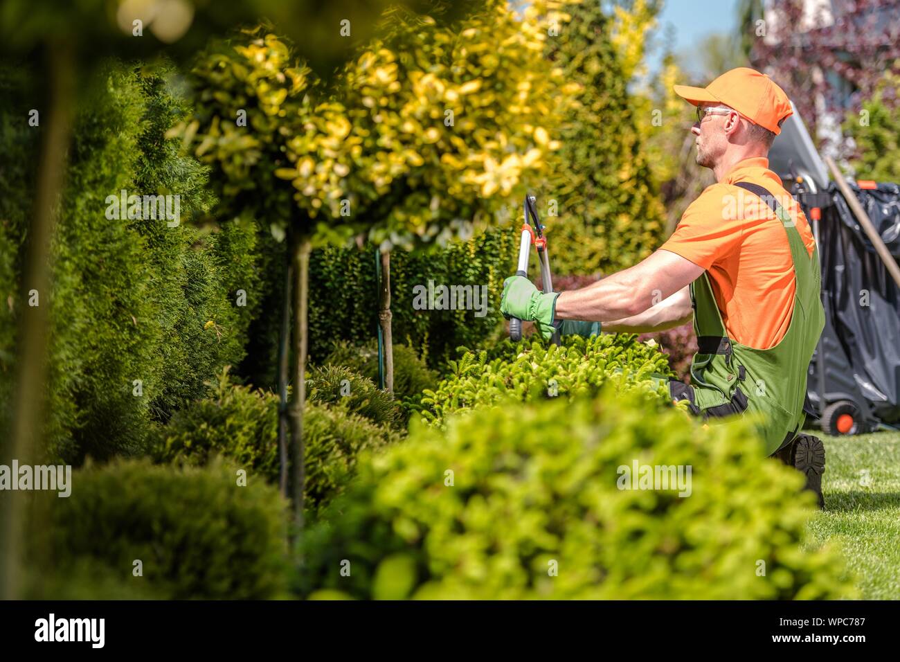 Portrait de fraisage Travailleur Jardin des arbres et des plantes à l'aide de grands ciseaux. Banque D'Images