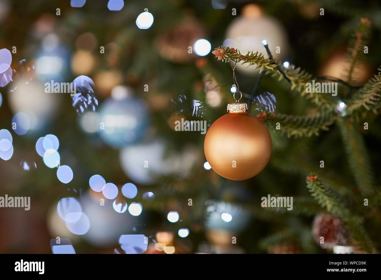 Arbre decora Banque de photographies et d’images à haute résolution - Alamy