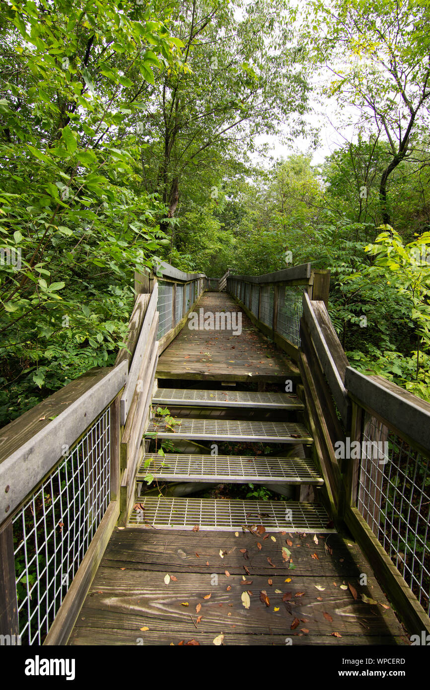 Chemin menant à la négliger. Castle Rock State Park, Illinois, États-Unis Banque D'Images