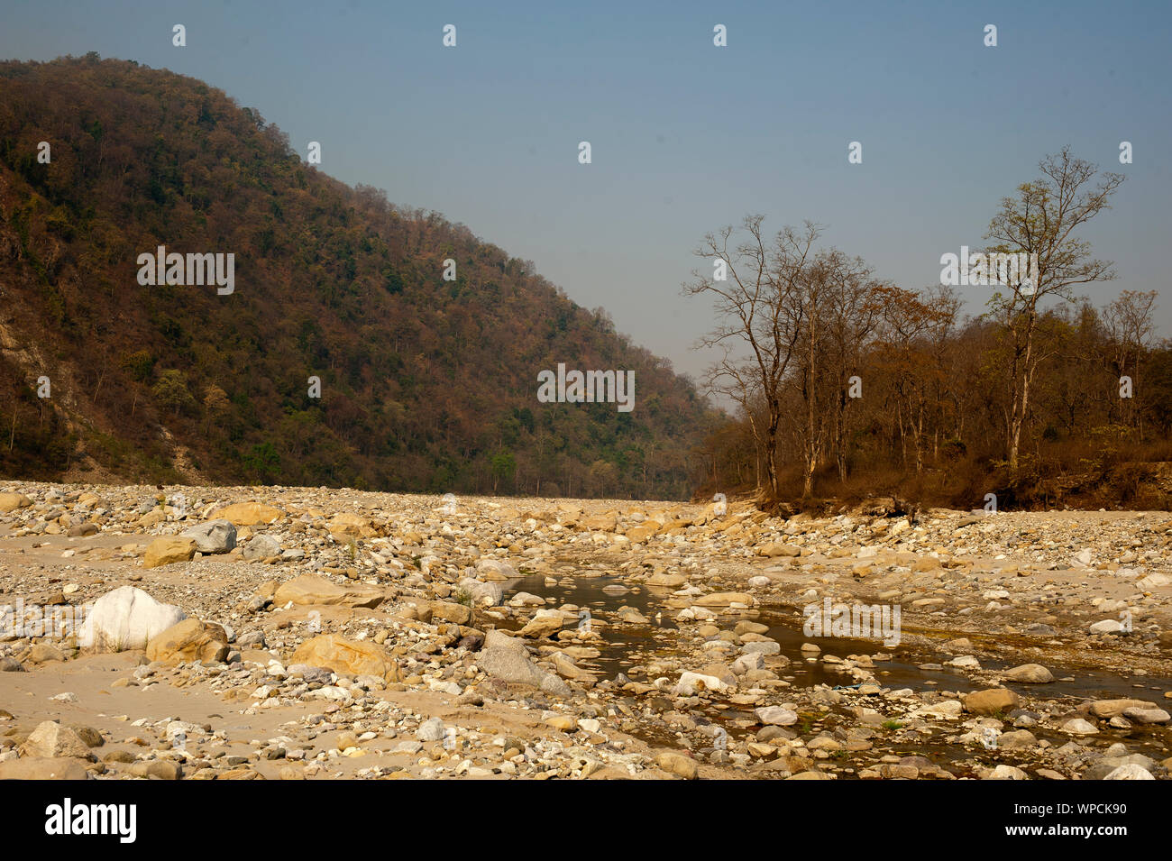 Lit pierreux de la rivière. Ladhya Cette rivière a été rendu célèbre par Jim Corbett dans son livre Maneaters de Kumaon, Uttarakhand, Inde Banque D'Images