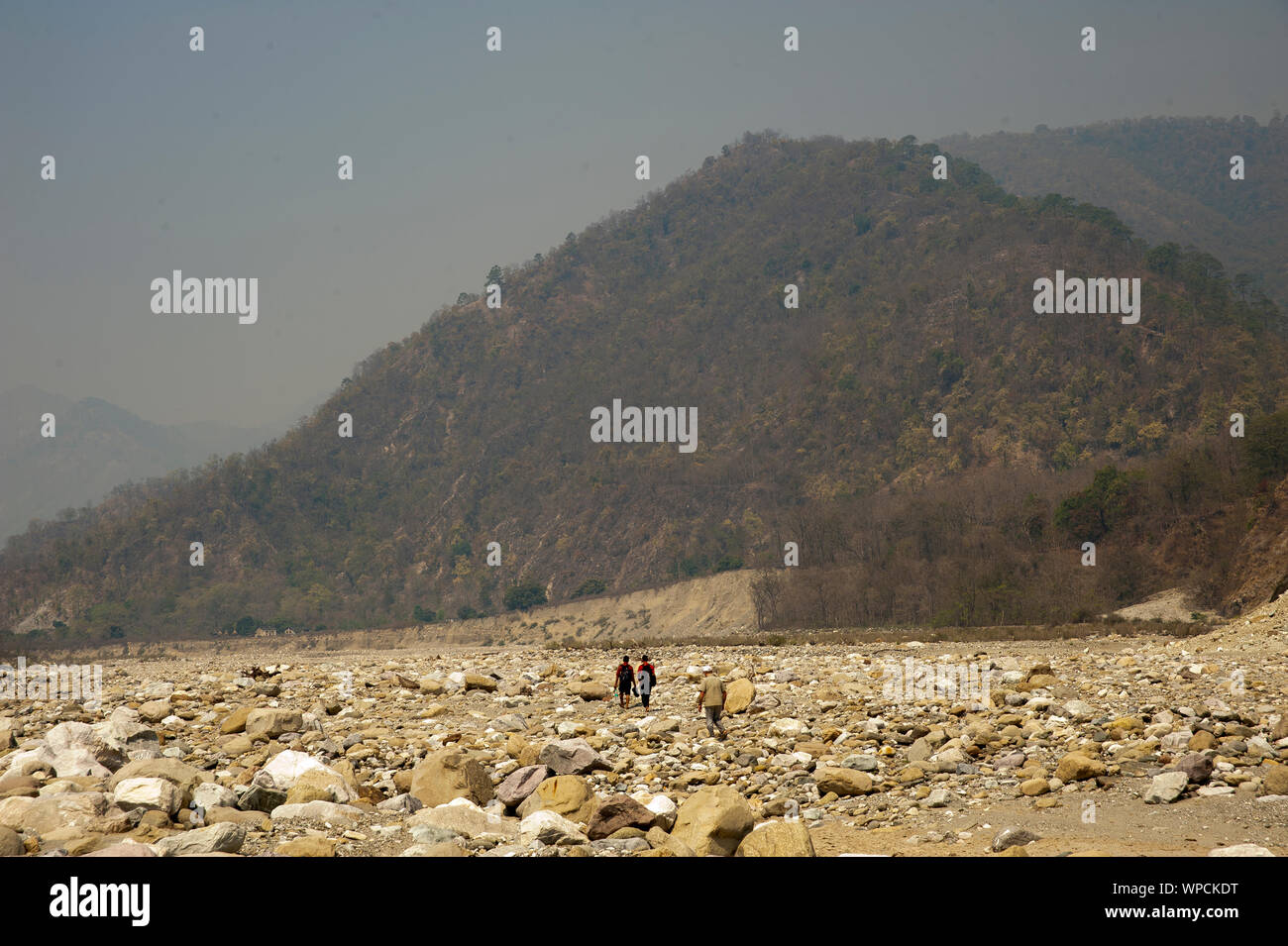 Lit pierreux de la rivière. Ladhya Cette rivière a été rendu célèbre par Jim Corbett dans son livre Maneaters de Kumaon, Uttarakhand, Inde Banque D'Images