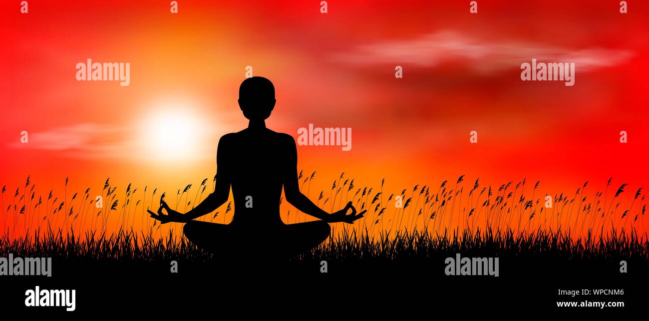 Une femme effectue des exercices de yoga au coucher du soleil. Les cours de yoga. Illustration de Vecteur