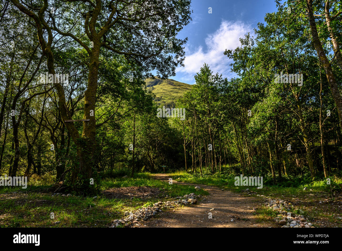 Vue de la vallée de Glencoe à partir du centre de services Banque D'Images