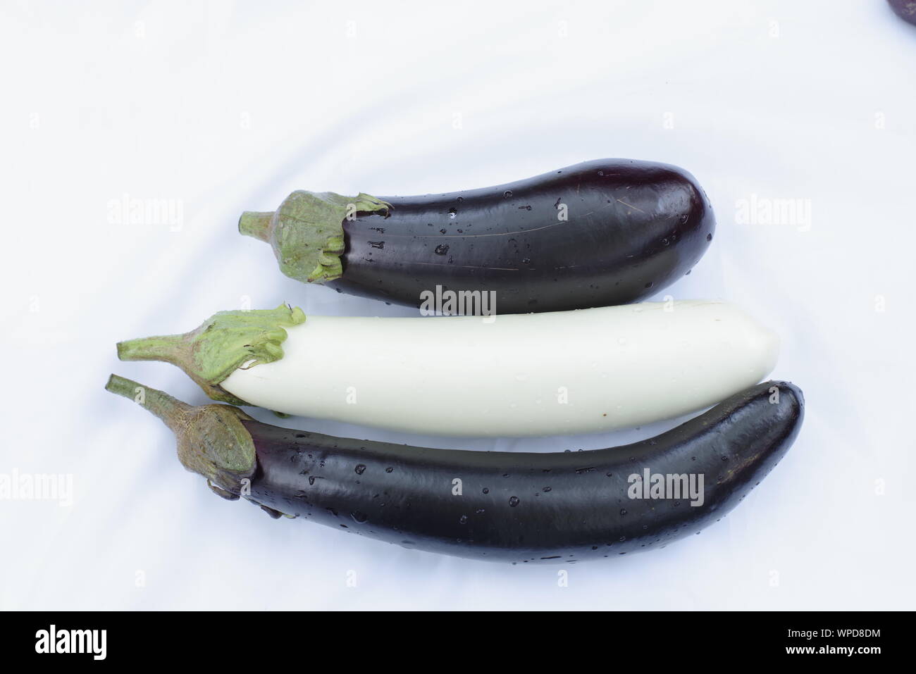 Trois d'aubergine noir et blanc Banque D'Images