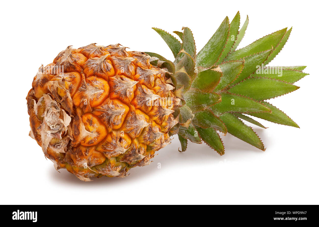 Chemin d'ananas mini isolated on white Banque D'Images