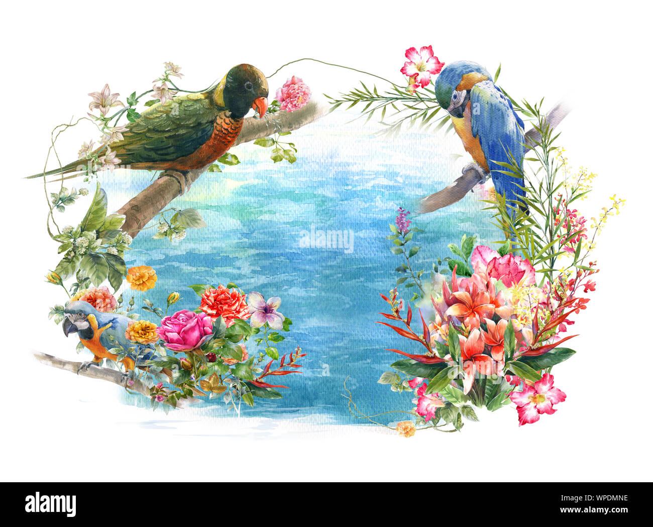 L'aquarelle avec fleurs et oiseaux, sur fond blanc Banque D'Images