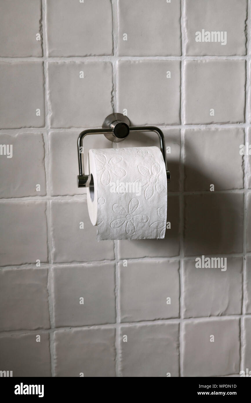 Un rouleau de papier toilette propre blanc est en face d'un magnifique mur  carrelé Photo Stock - Alamy