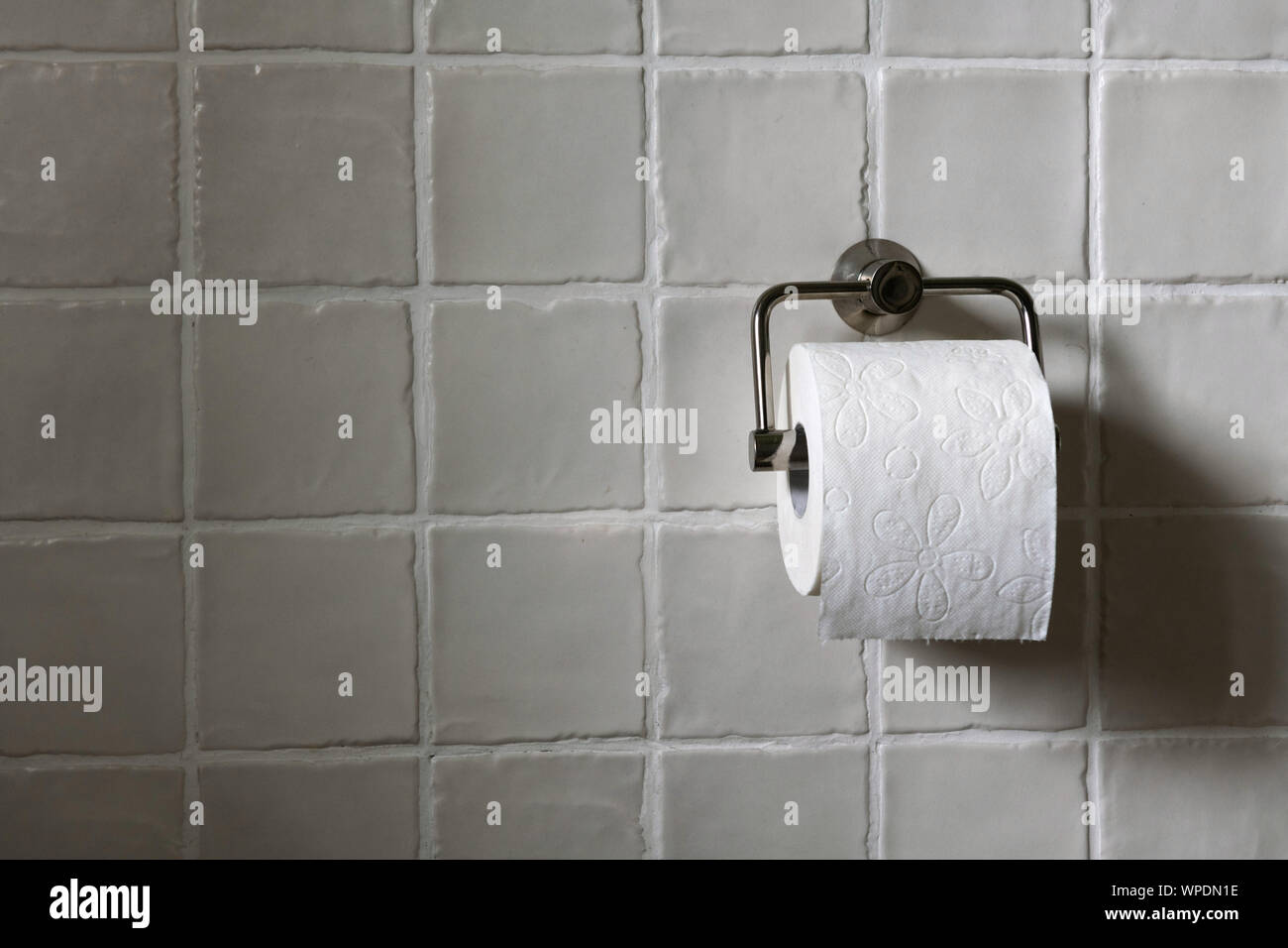Un rouleau de papier toilette propre blanc est en face d'un magnifique mur carrelé. Banque D'Images