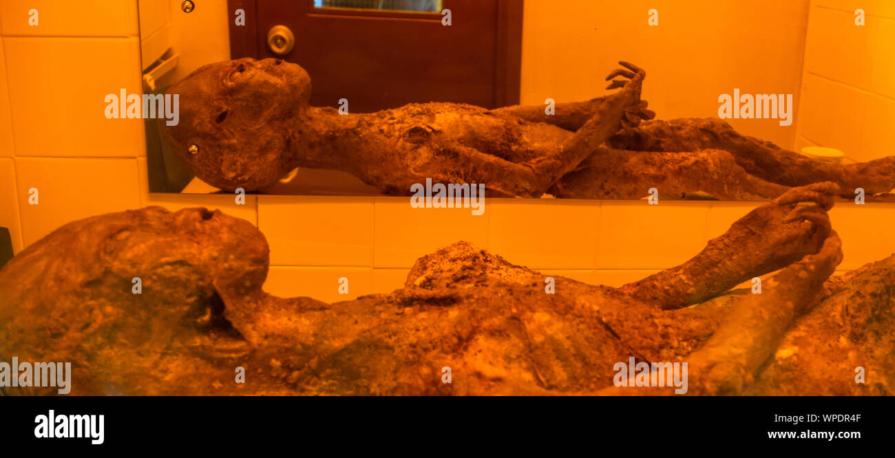 Modèle de Bentwaters intérieur exotiques Cold War Museum, Suffolk, Angleterre, RU Banque D'Images