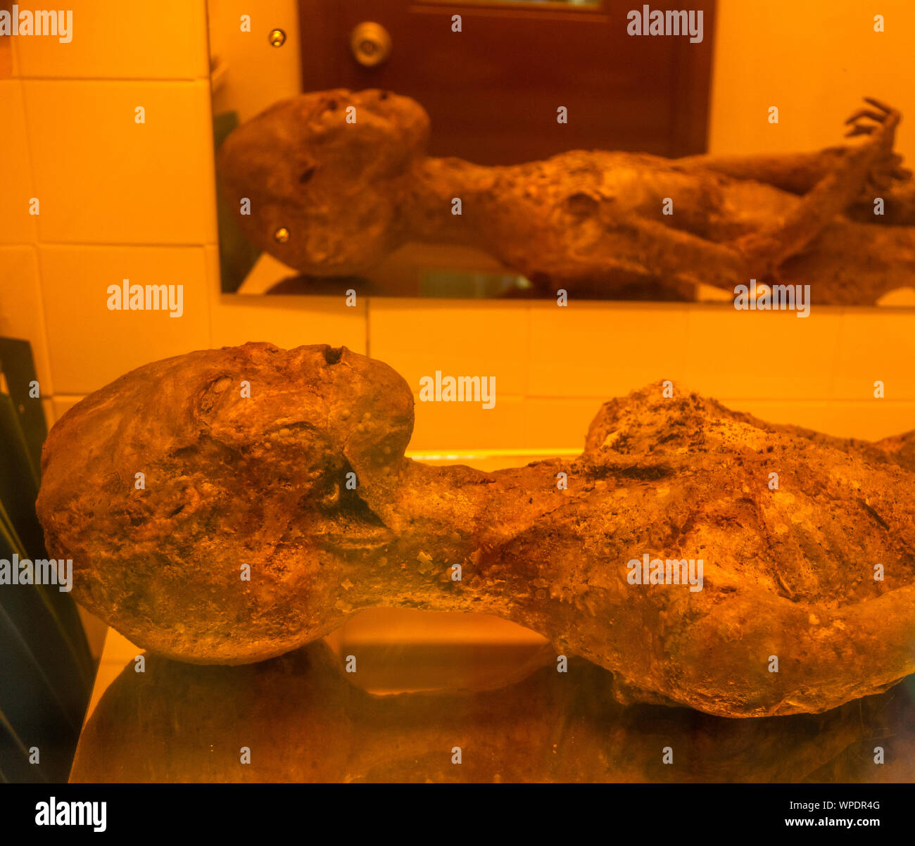 Modèle de Bentwaters intérieur exotiques Cold War Museum, Suffolk, Angleterre, RU Banque D'Images