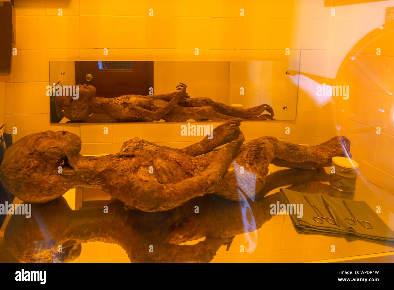 Modèle de Bentwaters intérieur exotiques Cold War Museum, Suffolk, Angleterre, RU Banque D'Images