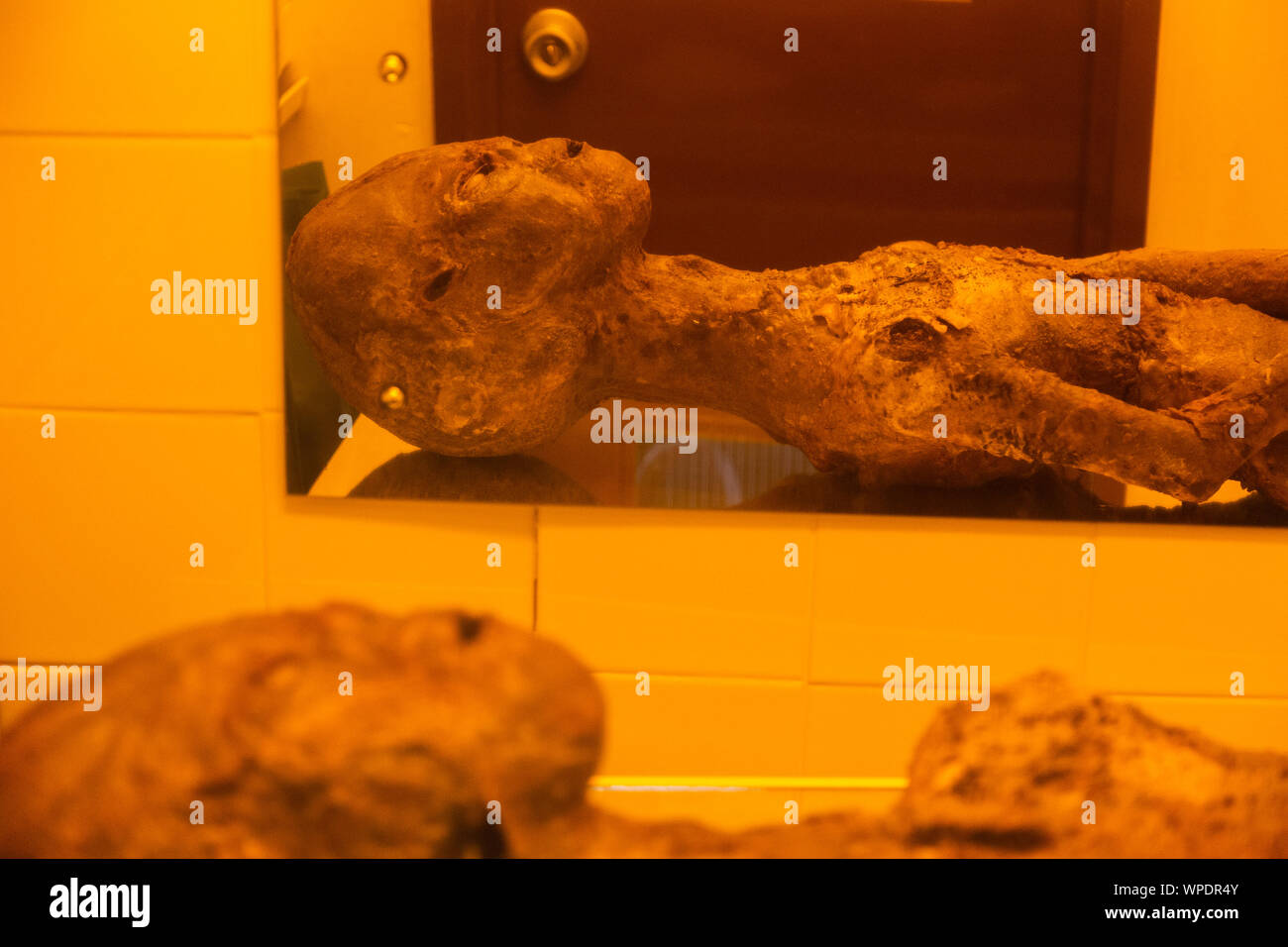 Modèle de Bentwaters intérieur exotiques Cold War Museum, Suffolk, Angleterre, RU Banque D'Images