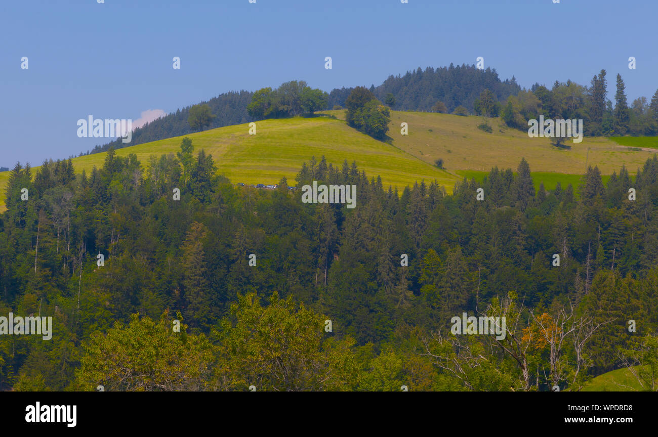 Les pâturages alpins en couleur verte et une forêt sombre Banque D'Images
