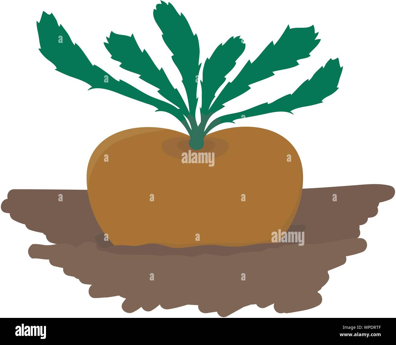 Le navet de plus en jardin - vector illustration Illustration de Vecteur