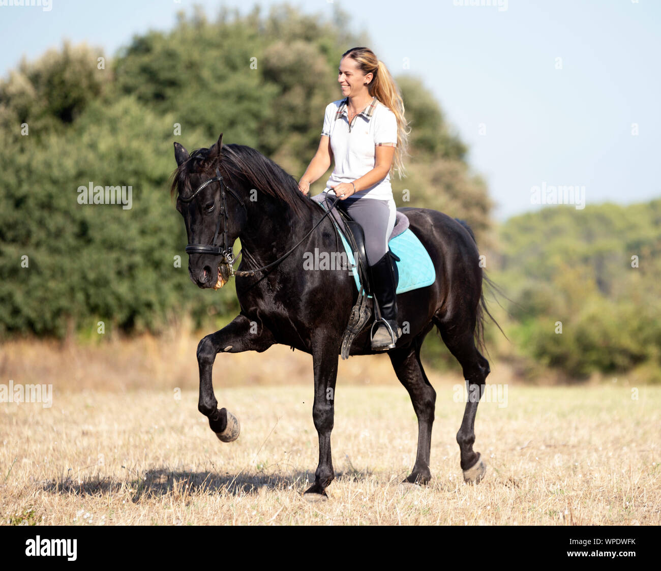 Équitation fille sont sa formation cheval noir Banque D'Images