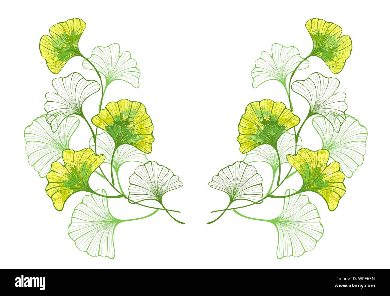 Motif symétrique de brindilles et artistique, Automne, couleurs, feuilles de ginkgo biloba peint avec de la peinture verte et jaune sur fond blanc. Illustration de Vecteur
