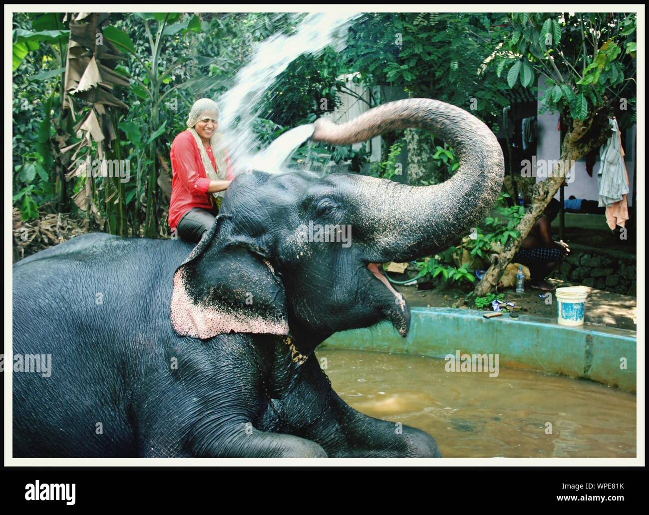 Vue de côté de l'éléphant Woman Enjoying Bath Banque D'Images