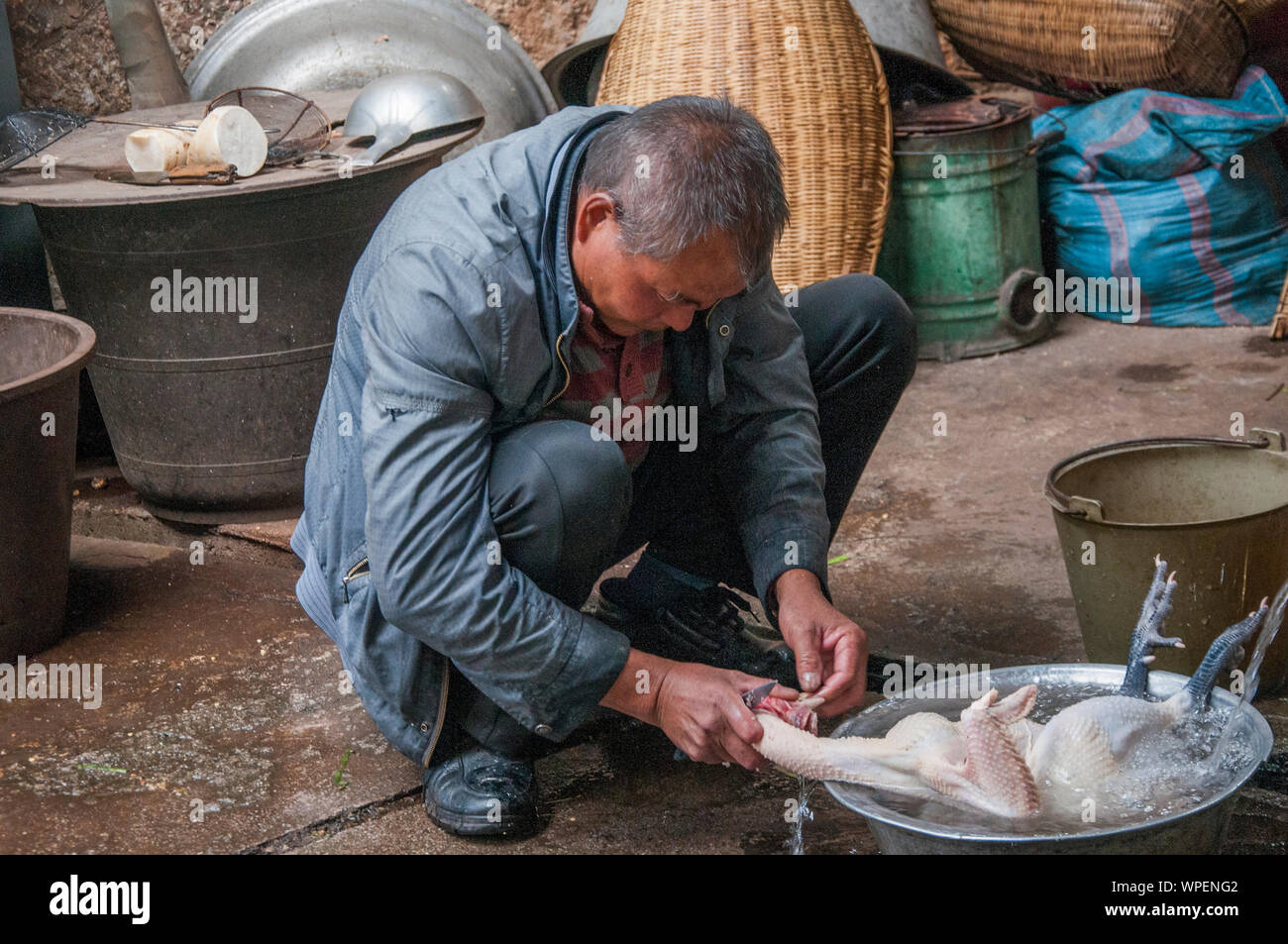 La préparation d'un poulet pour la marmite à Shuhe, sur le plateau, en dehors de la route de cheval Lijiang, Yunnan, Chine Banque D'Images