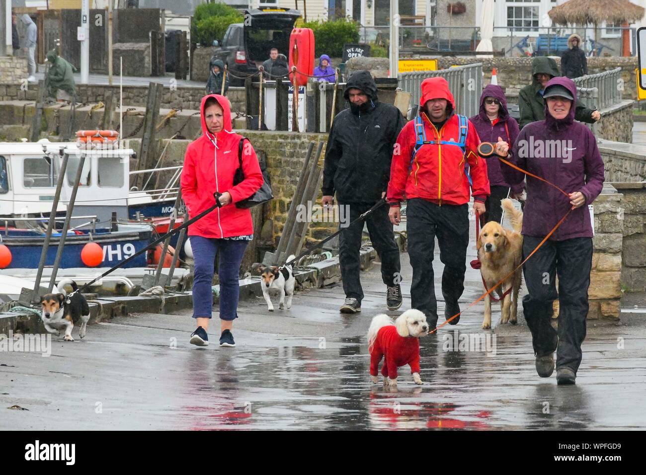 West Bay, Dorset, UK. Le 9 septembre 2019. Météo britannique. Un chien les promeneurs à flâner autour du port Le port de vestes imperméables pour un jour de fortes pluies à l'seasde balnéaire de West Bay, dans le Dorset. Crédit photo : Graham Hunt/Alamy Live News Banque D'Images