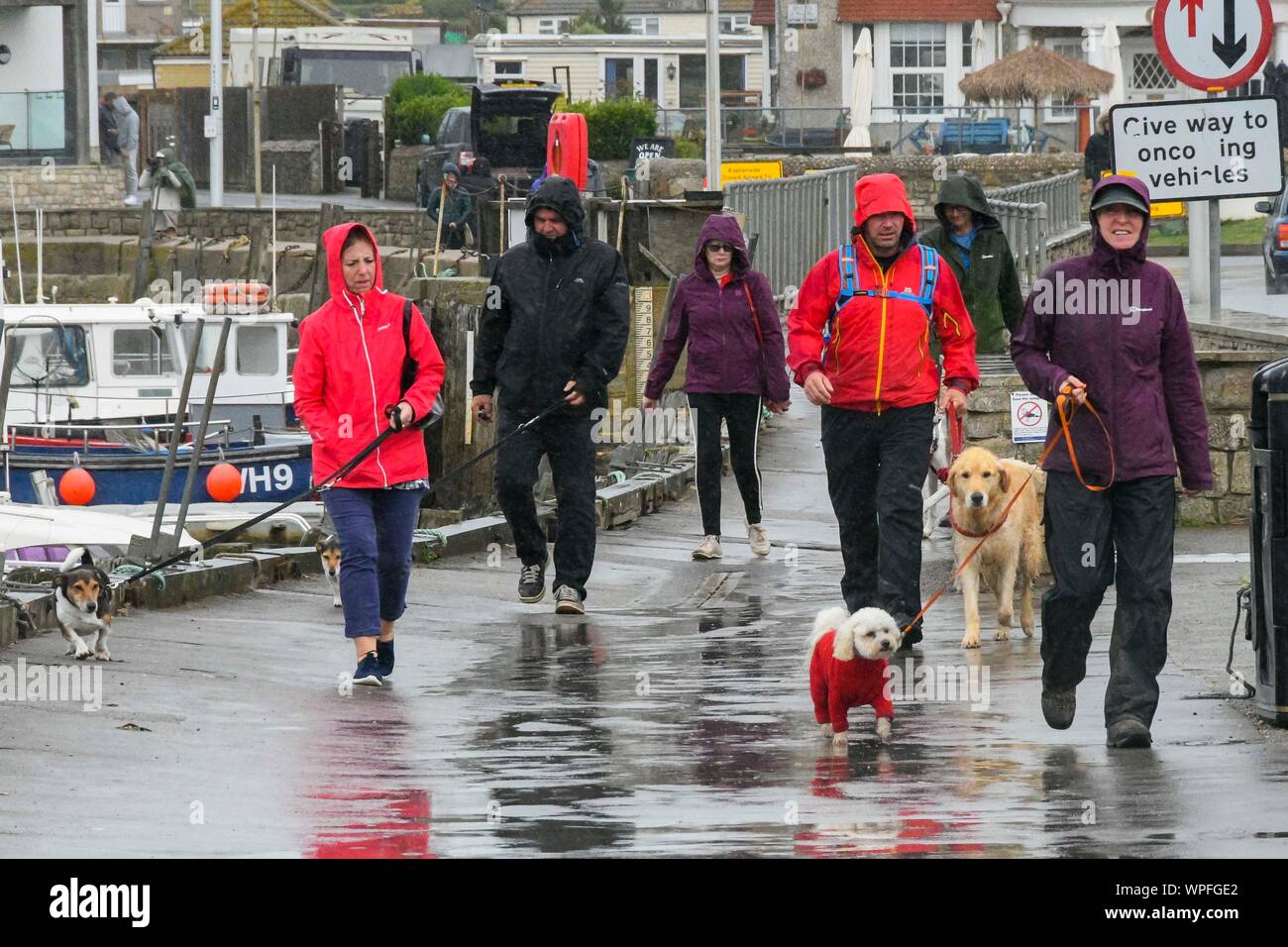 West Bay, Dorset, UK. Le 9 septembre 2019. Météo britannique. Un chien les promeneurs à flâner autour du port Le port de vestes imperméables pour un jour de fortes pluies à l'seasde balnéaire de West Bay, dans le Dorset. Crédit photo : Graham Hunt/Alamy Live News Banque D'Images