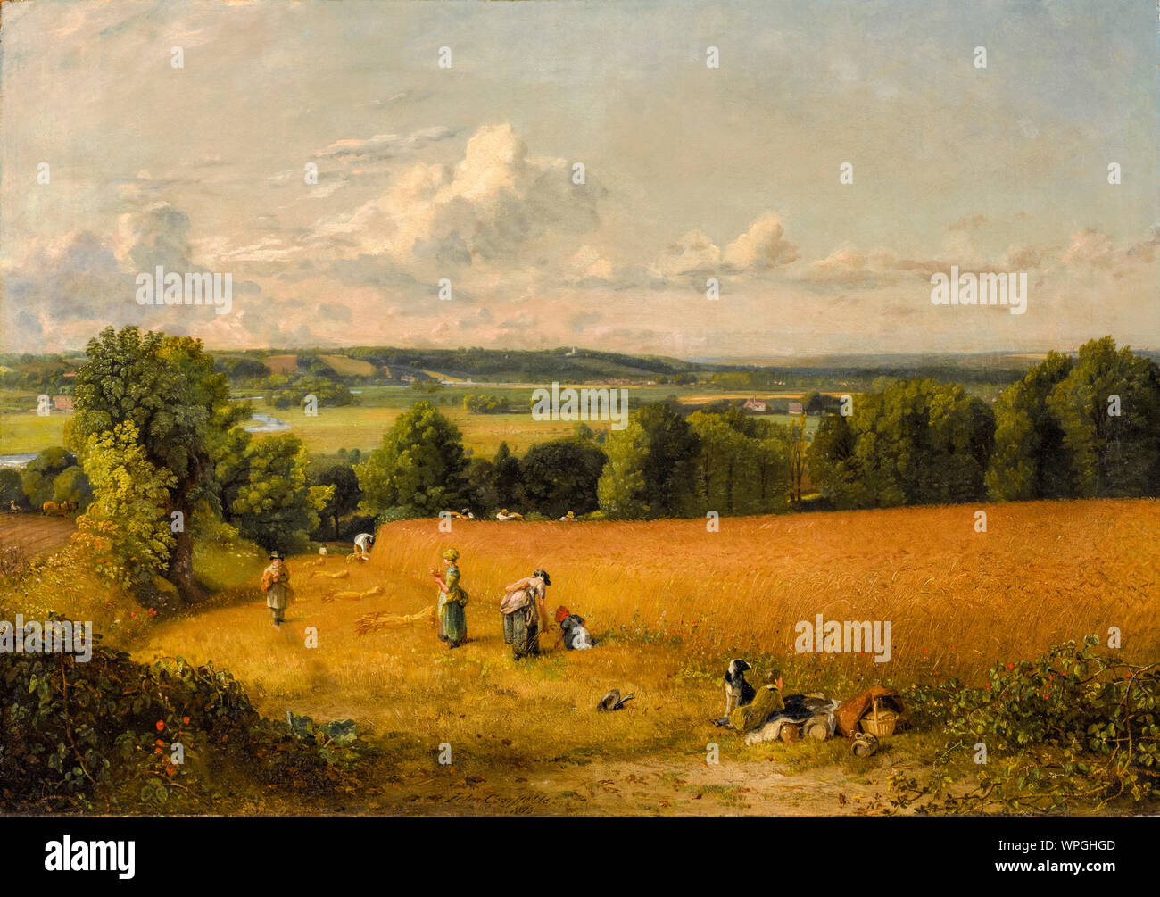 John Constable, le champ de blé, la peinture de paysage, 1816 Banque D'Images