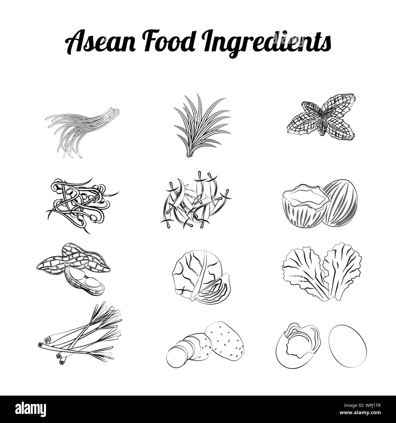 Asean food ingredients set bundle : légumes et viande de pente cartoon design,vector illustration Illustration de Vecteur