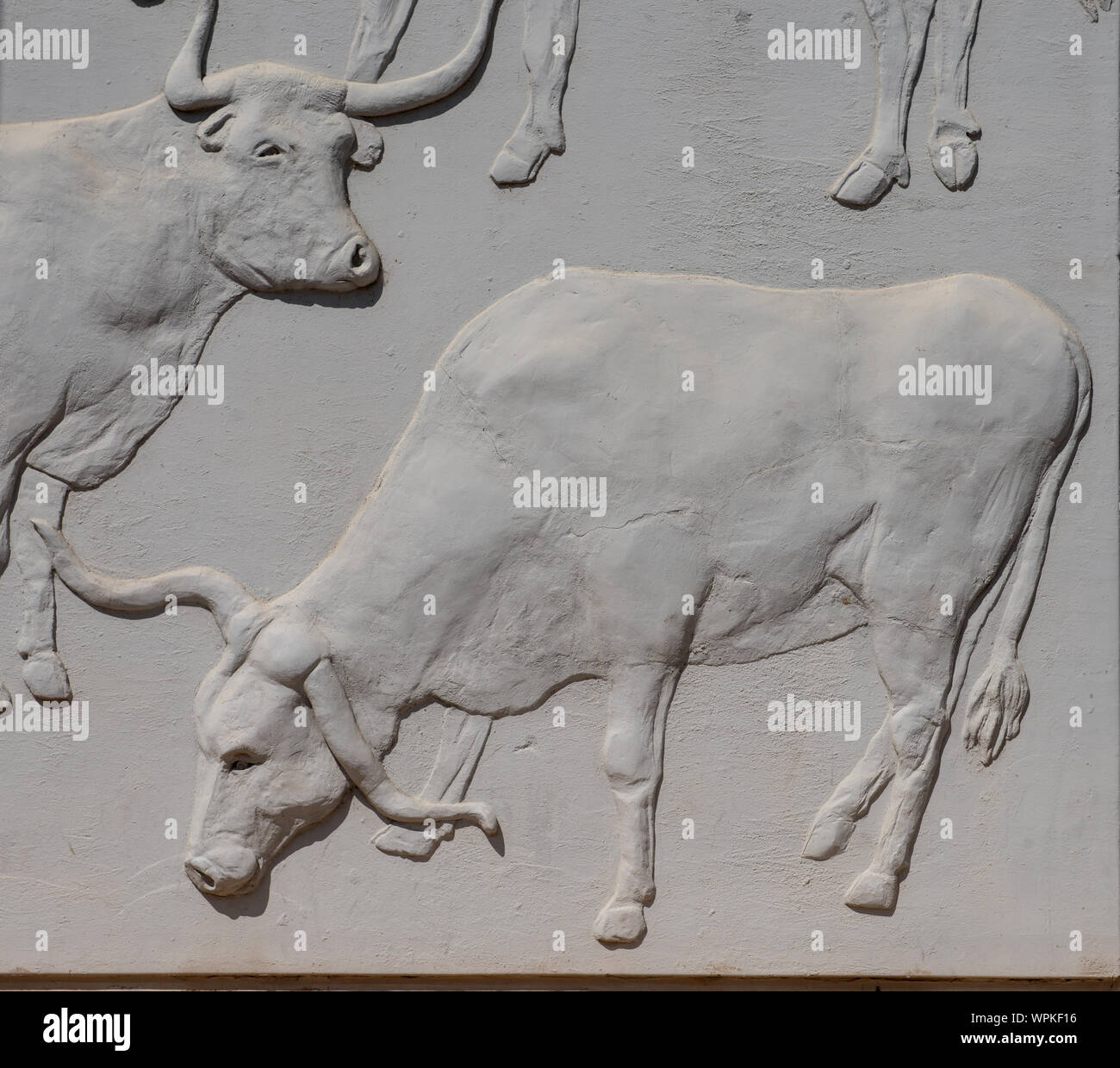 Longhorn bovins-relief sur le Colisée, un Brownwood sports et événements lieu d'exposition à Brownwood, le siège de Comté de Brown dans le centre du Texas Banque D'Images