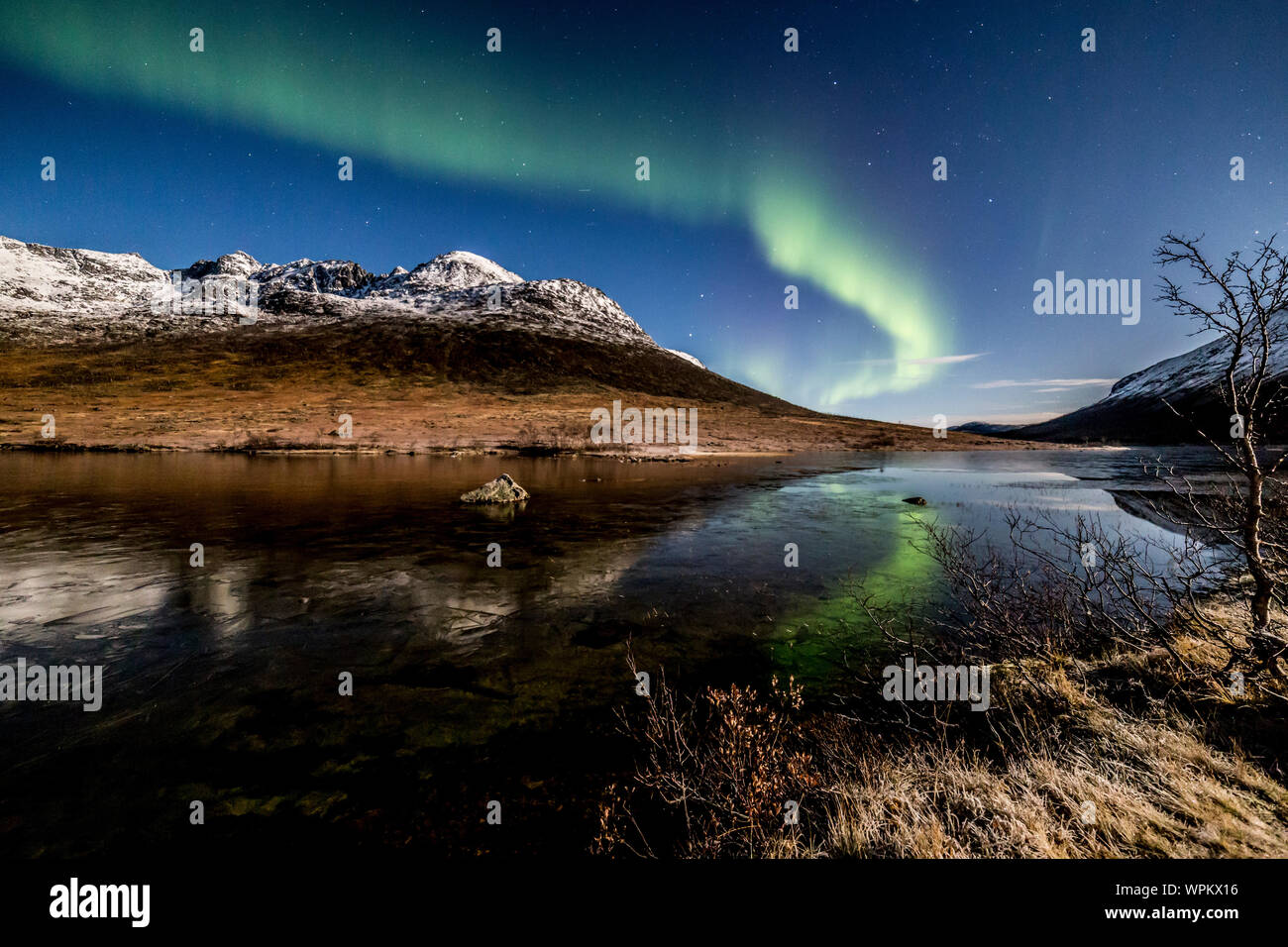 Aurora Borealis, northern lights, des rideaux de couleur active,coronas, se déplaçant à travers ciel nocturne ,cercle arctique, l'île de Kvaloya ,,Troms, Tromso, Norvège Banque D'Images