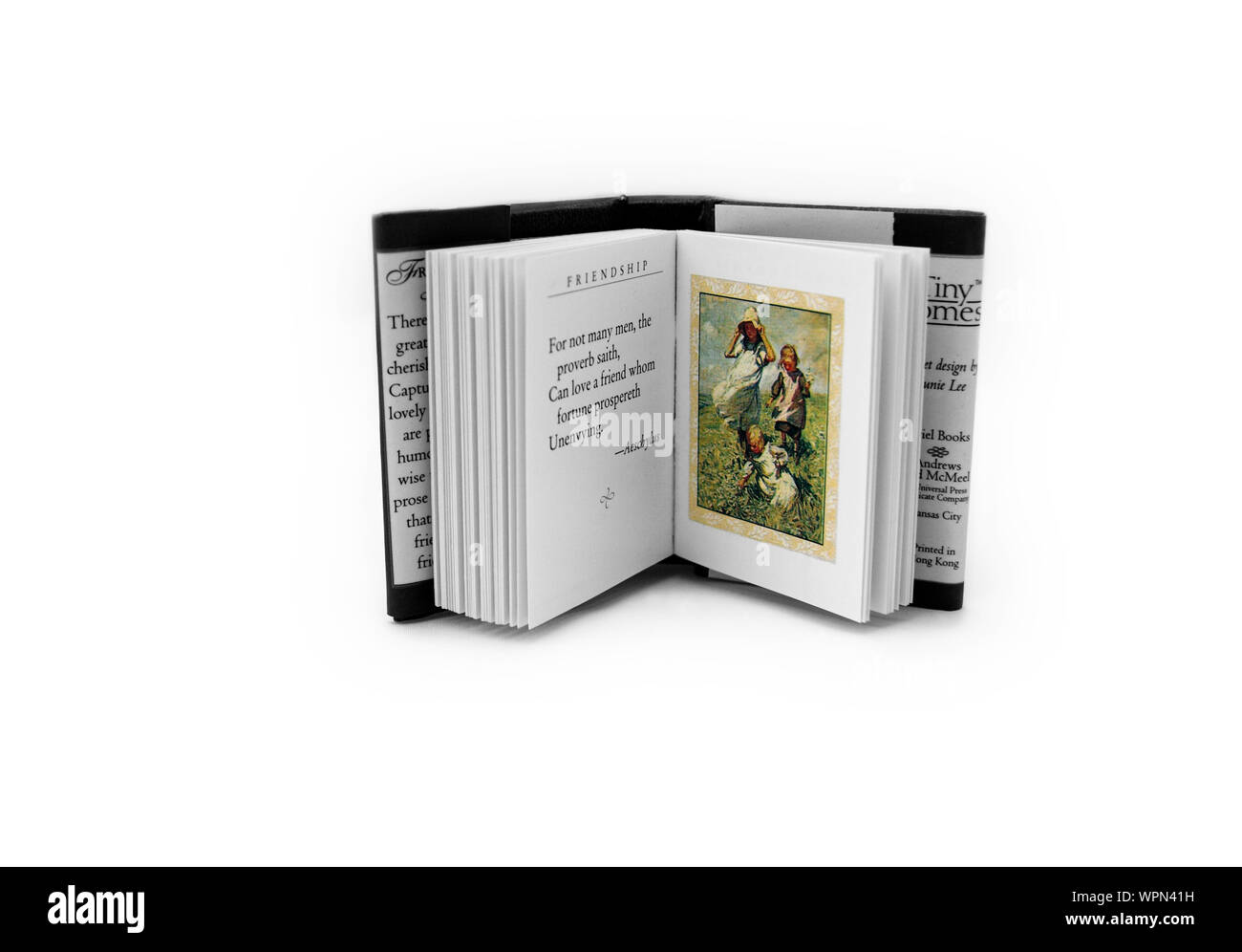 Un Livre Miniature Sur La Paume Photo stock - Image du russe
