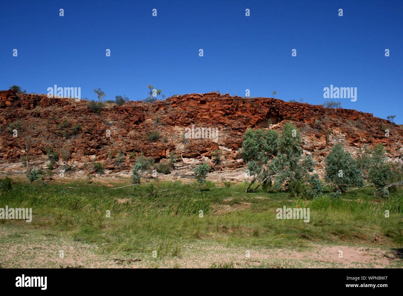 Route à travers le Parc National de Finke Gorge, Alice Springs, Territoire du Nord, Australie Banque D'Images