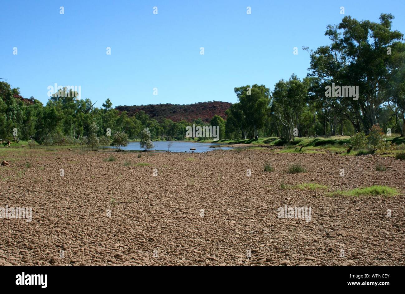 Route à travers le Parc National de Finke Gorge, Alice Springs, Territoire du Nord, Australie Banque D'Images