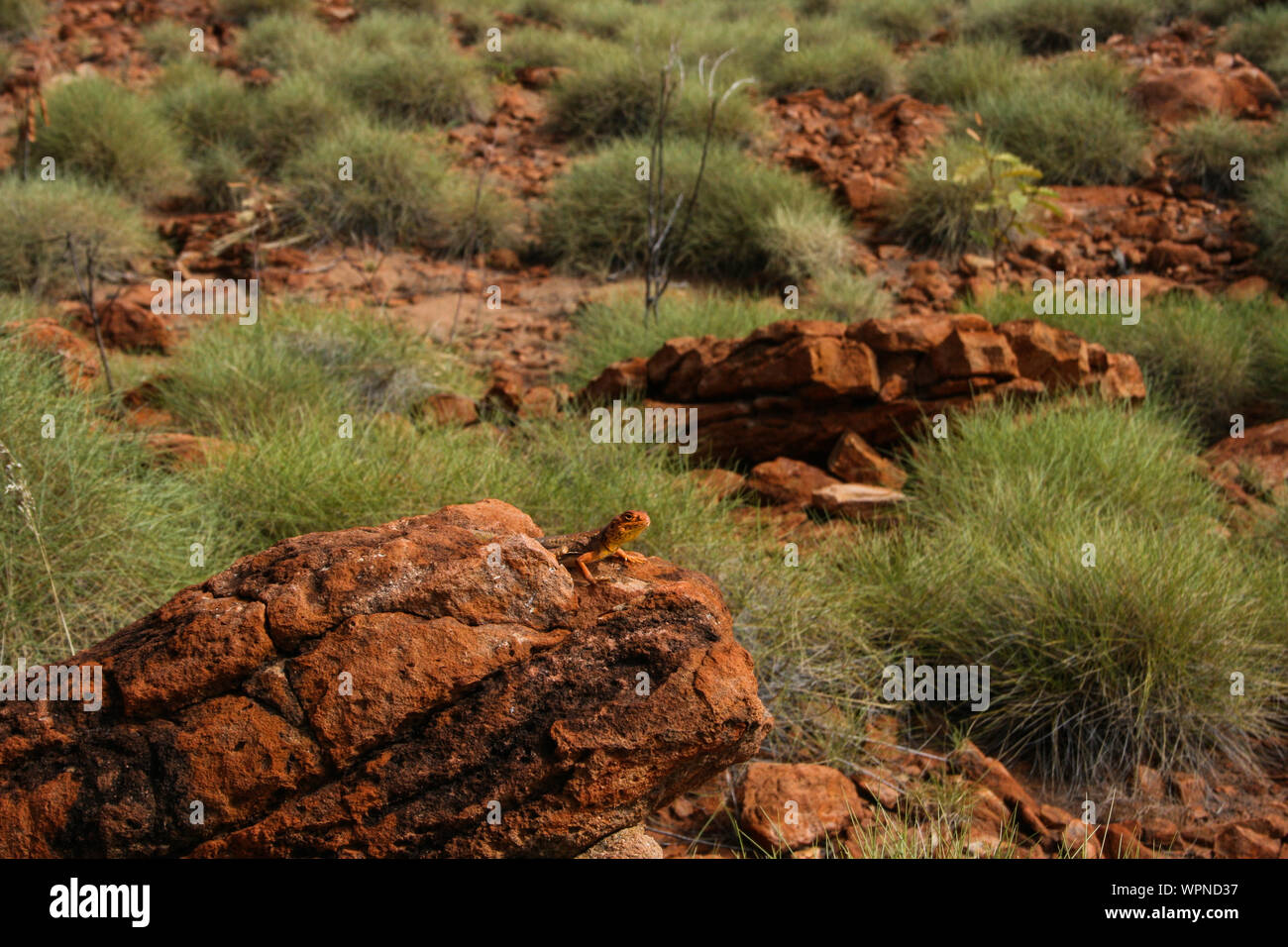 Cratère de météorite Wolfe Creek, dans l'ouest de l'Australie Banque D'Images
