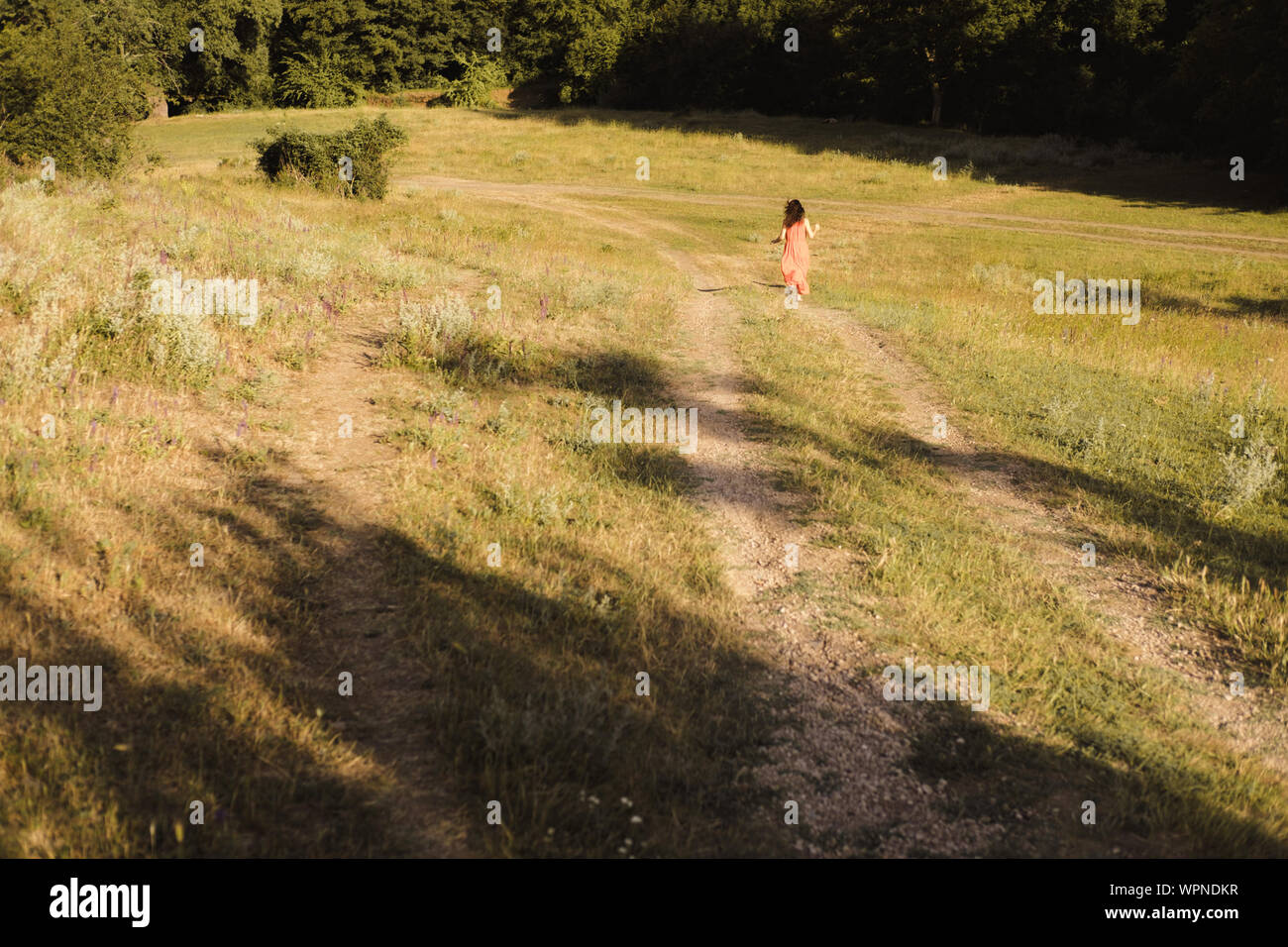 Belle jeune fille avec des cheveux bouclés en robe orange vif entre dans la distance à travers la forêt ou sur le terrain au coucher du soleil. L'humeur romantique. La Solitude Banque D'Images