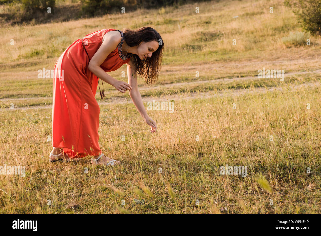 Belle jeune fille avec des cheveux bouclés en robe orange vif promenades à travers la forêt de l'été ou d'automne ou sur le terrain au coucher du soleil. Femme est souriante et ha Banque D'Images